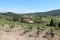 Panorama of the city of San Gimignano