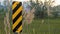 Panorama Close up of black and yellow diagonal stripes road sign beside barbed wire fence