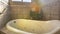 Panorama Close up of shiny bathtub and ornamental plant inside a bathroom with tiled wall