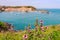 Panorama of Collioure harbour, Languedoc-Roussillon, France, South Europe. Ancient town with old castle on Vermillion coast of