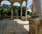 panorama of a colonnade with old columns covered with wild grapes, highlighted with backlight