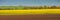 Panorama of colored farm landscape with fields of rapeseed and wheat under blue sky