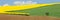Panorama with colored fields in spring time