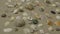 Panorama. Colorful background of seashells and stones on the sand.