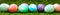 Panorama, colorful dyed easter eggs in a line on green meadow