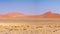 Panorama on colorful sand dunes and scenic landscape in the Namib desert, Namib Naukluft National Park, tourist destination in Nam