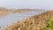 A panorama of Comacchio valley, countryside and river