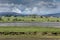 Panorama of Cromarty Firth with farms, Scotland.