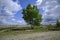 Panorama of a cycling path through the heather fields of the Drents-Friese Wold, Netherlands