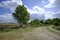 Panorama of a cycling path through the heather fields of the Drents-Friese Wold, Netherlands