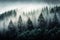 panorama of dense, misty forest with towering trees and fog