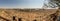 Panorama of Desert Landscape with Dry River Bed in Mapungubwe National Park, South Africa