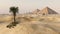 Panorama of the desert of sand at sunset