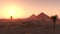 Panorama of the desert of sand at sunset