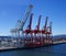 Panorama - Dockyard cranes f