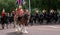 Panorama of drum horse with rider, with Household Cavalry behind, taking part in the Trooping the Colour parade