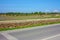 Panorama of the dry countryside of ibiza and formentera next to the asphalted roads