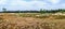 Panorama of Dutch heathland