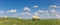 Panorama of dutch white sheep near Groningen