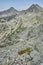 Panorama of Dzhangal and momin dvor peaks, Pirin Mountain, Bulgaria