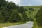 Panorama of ecological path through a green summer forest, Plana mountain