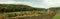 Panorama of edge of forest with planting of young trees