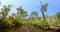 Panorama - Edith falls, Nitmiluk National Park, Northern Territory, Australia