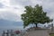 Panorama of Embankment of town of Vevey, Switzerland