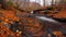 A panorama of a falling autumn forest with a lot of red foliage and a fast cold stream and swirls foliage