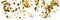 Panorama of falling gold coins money isolated on the white background, business wealth concept.