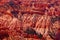 Panorama, fantasticly eroded red Navajo sandstone pinnacles