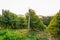 Panorama of the farm. Bushes of ripe raspberries.