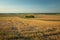 Panorama of farmland, horizon and sky