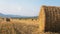 Panorama of field of round bales of hay after harvest