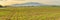 Panorama with field and Sleza Mountain, Poland