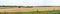 Panorama Fields with ripe bread