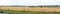 Panorama Fields with ripe bread