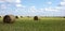 Panorama of Filed of Round Bales of Straw