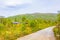 Panorama with fir trees pines mountains nature landscape Hovden Norway