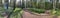 Panorama of first days of autumn in a park, long shadows, blue sky, Buds of trees, Trunks of birches, sunny day, path in