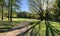 Panorama of first days of spring in a forest, long shadows, blue sky, Buds of trees, Trunks of birches, sunny day, path