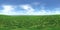 Panorama of a flower meadow, flower hills view. HDRI . equidistant projection
