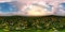Panorama of a flower meadow, HDRI, environment map