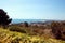 Panorama with flowers and sea view, beach and city resort Sunny Beach Bulgaria, beautiful picture with summer landscape,