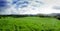 Panorama of foothill valley in the autumn.Saxon