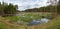 Panorama. Forest cutting. Landscape Of Belarus. Swamp