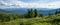 Panorama Forest Landscape. Siberian cedars on the background of mountains in Ergaki Park