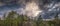 Panorama of a forest landscape during thunderstorms