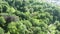 Panorama of the forest park in the summer from a bird`s-eye view. Lush green foliage of fresh moist forest on a summer
