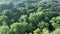 Panorama of the forest park in the summer from a bird`s-eye view. Lush green foliage of fresh moist forest on a summer